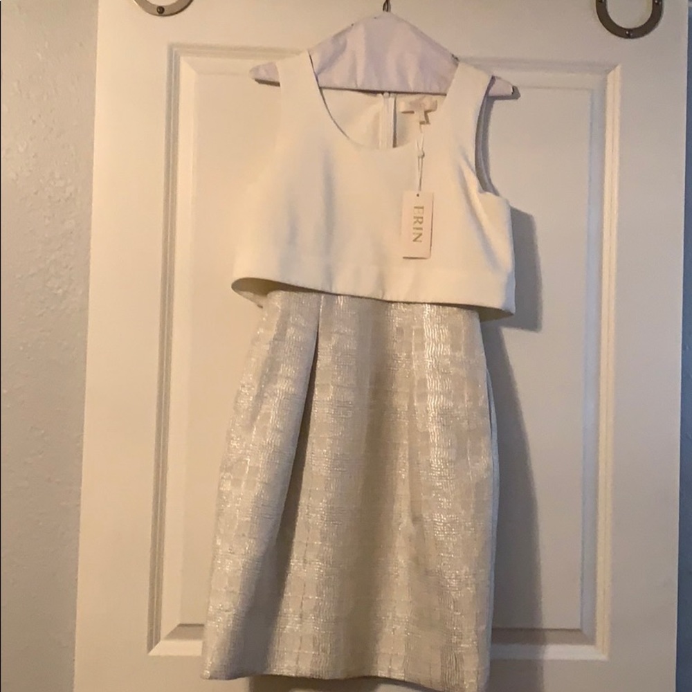 ERIN, Ivory and silver dress